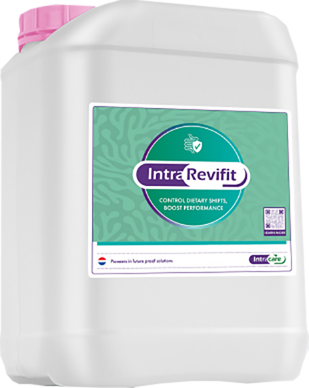 Intra Revifit